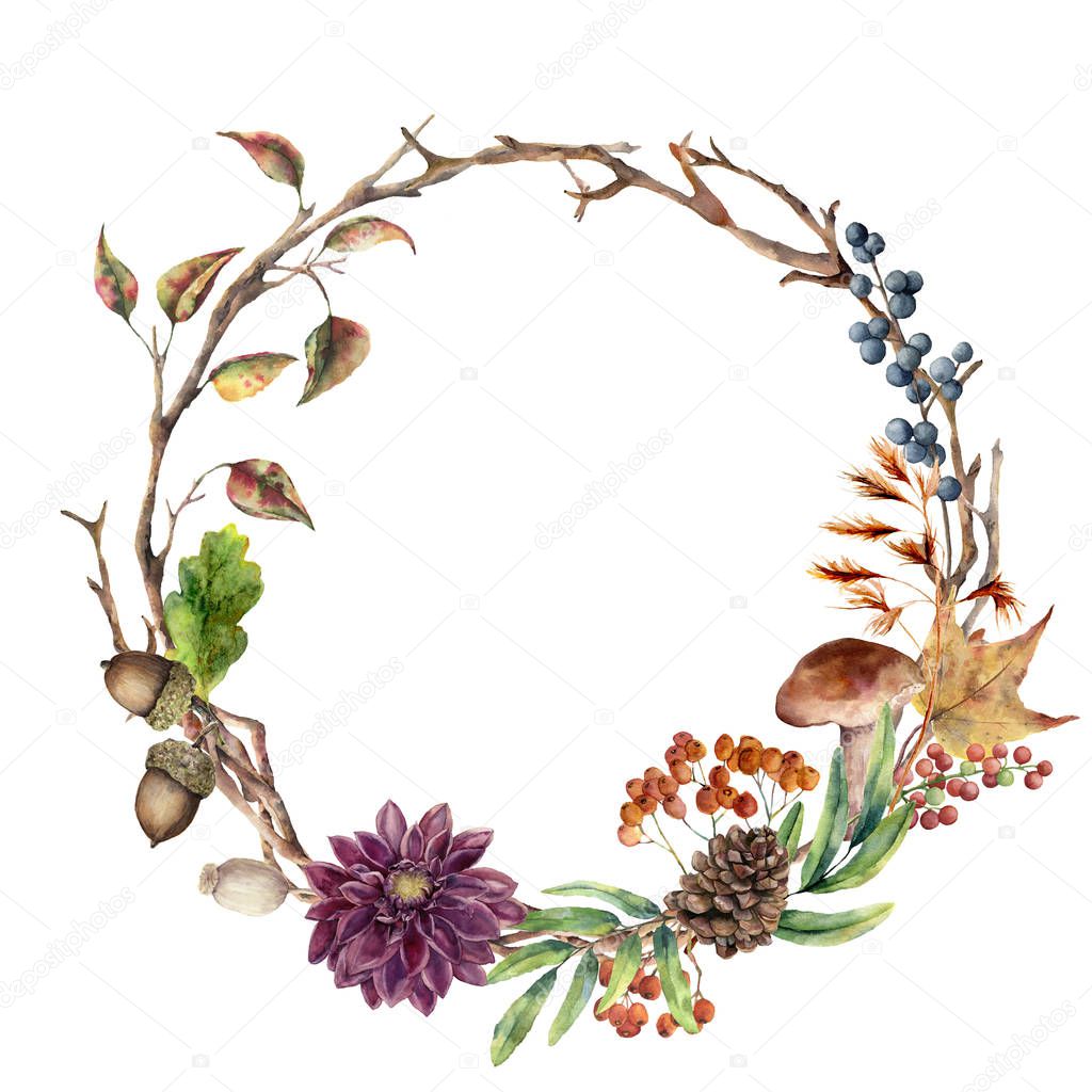 Watercolor autumn tree branch and flower wreath. Hand painted wreath with acorn, mushroom, cone, berries and leaves on white background. Illustration for design, fabric or background.