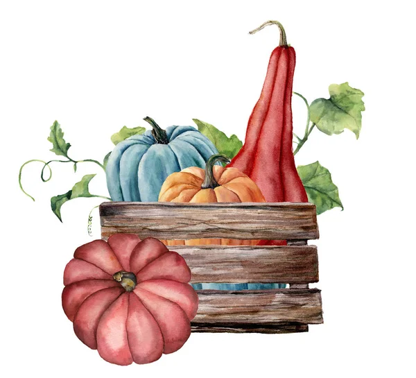 Akvarell-kort med pumpor. Hand målade ljusa pumpor med blad och grenar isolerad på vit bakgrund. Höstens skörd. Botaniska illustration för design, skriva ut. — Stockfoto