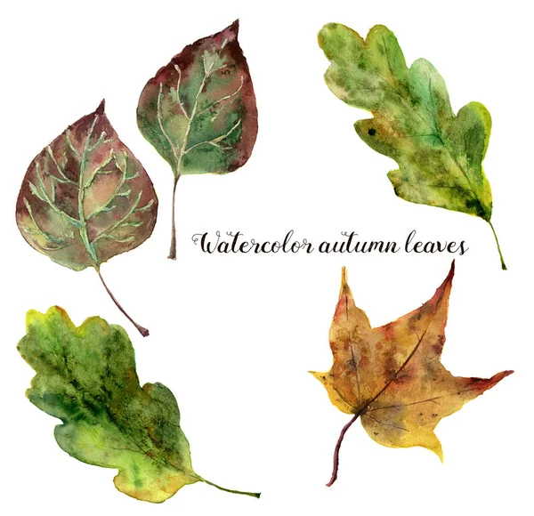 Conjunto de hojas de otoño acuarela. Hojas de otoño pintadas a mano aisladas sobre fondo blanco. Ilustración botánica para el diseño — Foto de Stock