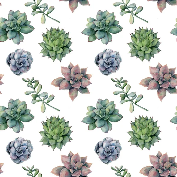 Watercolor pattern with different succulents. Hand painted ornament with cactuses and leaves isolated on green background. Floral illustration for design, print or background. — Stock Photo, Image