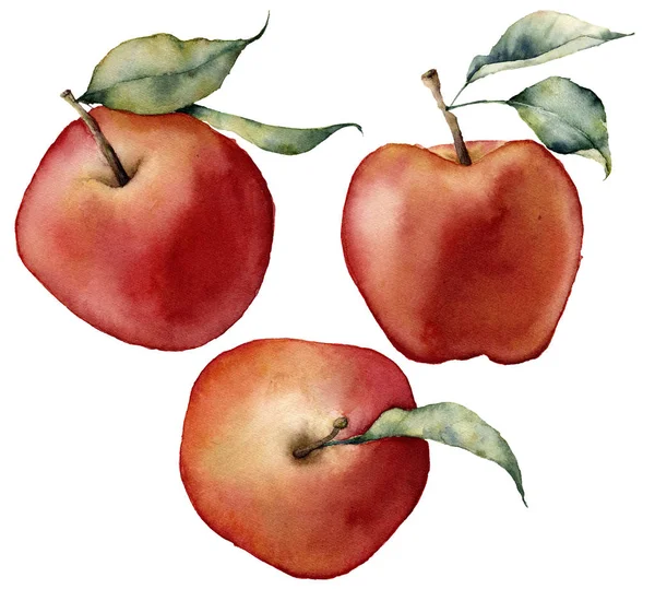 Conjunto de maçãs aquarela. Maçãs vermelhas pintadas à mão com folhas isoladas sobre fundo branco. Ilustração de comida botânica para design — Fotografia de Stock