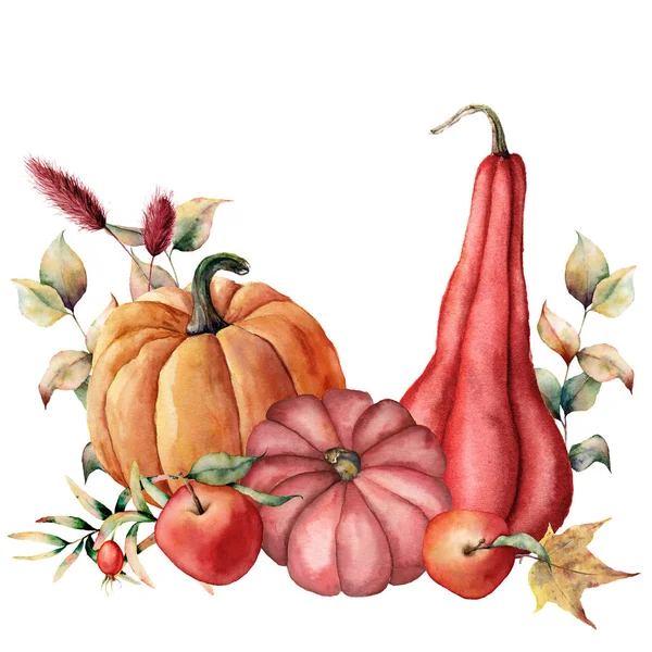 Akvarelu karta s podzimní sklizní. Ručně malované dýně, jablka, dogroses listy a větve izolovaných na bílém pozadí. Botanická ilustrace pro design, tisk nebo pozadí. — Stock fotografie