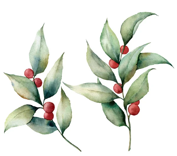 Watercolor lingonberry with berries. Hand painted floral illustration with leaves and branches isolated on white background. Botanical elements for design or print. — Stock Photo, Image