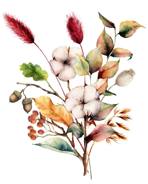 植物、花および果実と水彩秋の花束。手描きの綿の花、lagurus、ドングリ、葉、白い背景で隔離の枝。秋のデザイン、印刷の花のイラスト. — ストック写真