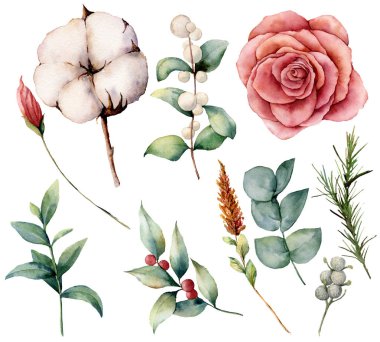 Suluboya Sonbahar bitki, çiçek ve meyveleri ile ayarla. El boyalı pamuk, gül, lagurus, yaprakları ve beyaz arka plan üzerinde izole şube. Sonbahar tasarım, yazdırma için çiçek şekil.