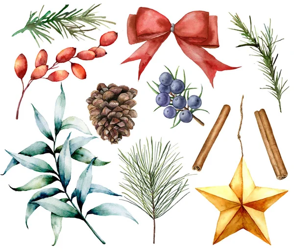 水彩のクリスマスの装飾を設定します。塗装のモミの枝を手、ユーカリの葉、メギ、スター、モミの実、シナモン、ジュニパー、弓と rosemarin は、白い背景で隔離。ホリデイ ・ イラスト. — ストック写真