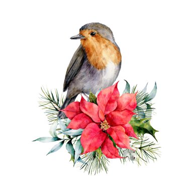 Robin ve kış tasarımı ile suluboya Noel kartı. El boyalı kuş Atatürk çiçeği, ökse otu, köknar dalı ve beyaz arka plan üzerinde izole holly. Tatil sembol tasarımı, baskı için.