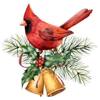 Kırmızı kardinal ve kış tasarım suluboya Noel kartı. El kuşla çan, holly, kırmızı yay, çilek, beyaz arka plan üzerinde izole köknar dalı boyalı. Tatil sembol tasarımı, baskı için.
