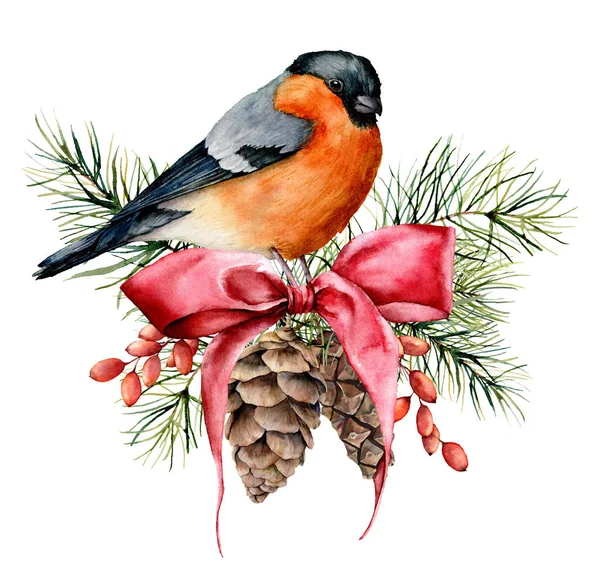 Akvarel Vánoční přání s bullfinch a zimní design. Ručně malovaný pták s borovicovými kužely, červeným lukem, bobulemi, jedlovou větví izolovanou na bílém pozadí. Rekreační symbol pro design, tisk. — Stock fotografie