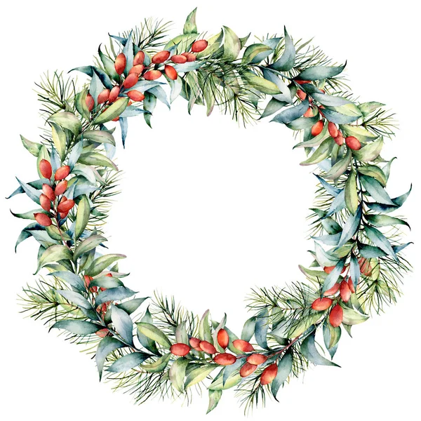 Watercolor Christmas wreath with eucalyptus and berries. Hand painted fir border with cones, barberries, eucalyptus leaves isolated on white background. Holiday floral illustration for design, print — Stock Photo, Image