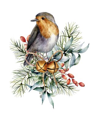 Robin, çan ve kış tasarımı ile suluboya Noel kartı. El kuş ile Okaliptüs yaprakları, altın çan, köknar dalı ve beyaz arka plan üzerinde izole kızamık boyalı. Tatil sembol tasarımı için.