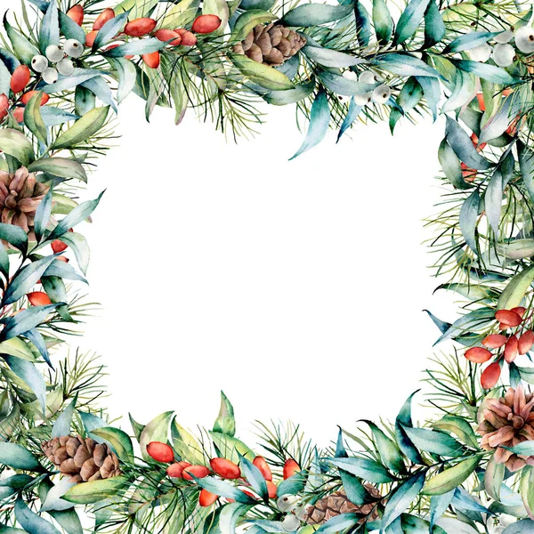 Carte de Noël aquarelle avec branches florales, eucalyptus. branches de sapin peintes à la main avec des cônes, des épices, des feuilles d'eucalyptus isolées sur fond blanc. Illustration de vacances pour le design, imprimer — Photo
