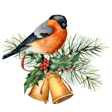 Sulu boya Noel kartı şakrak kuşu ve tatil bir tasarıma sahip. El kuşla çan, holly, kırmızı yay, çilek, beyaz arka plan üzerinde izole köknar dalı boyalı. Kış sembol tasarımı, baskı için.