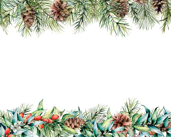 Akvarell banner a téli virág girland. Kézzel festett eukaliptusz, fenyő ágak, bogyók és levelek, fenyőtobozok elszigetelt fehér background. Karácsonyi card for design, print — Stock Fotó