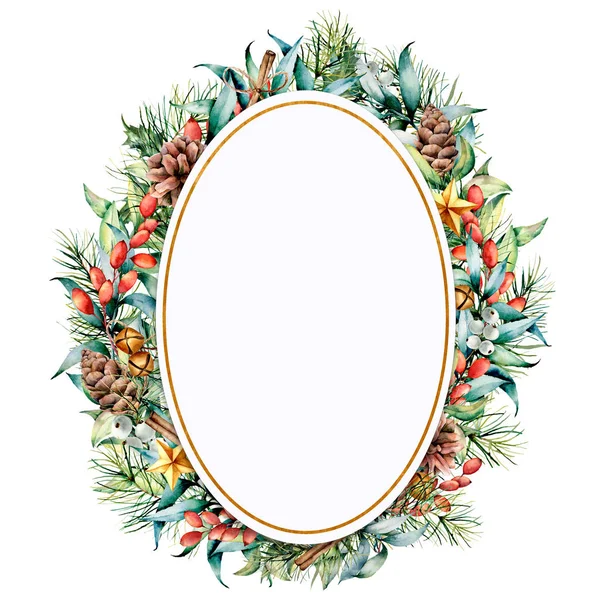 Watercolor oval floral frame with winter plants and golden decor. Hand painted eucalyptus and fir branches, cones, stars, berries and leaves isolated on white background. Christmas card for design — Stock Photo, Image