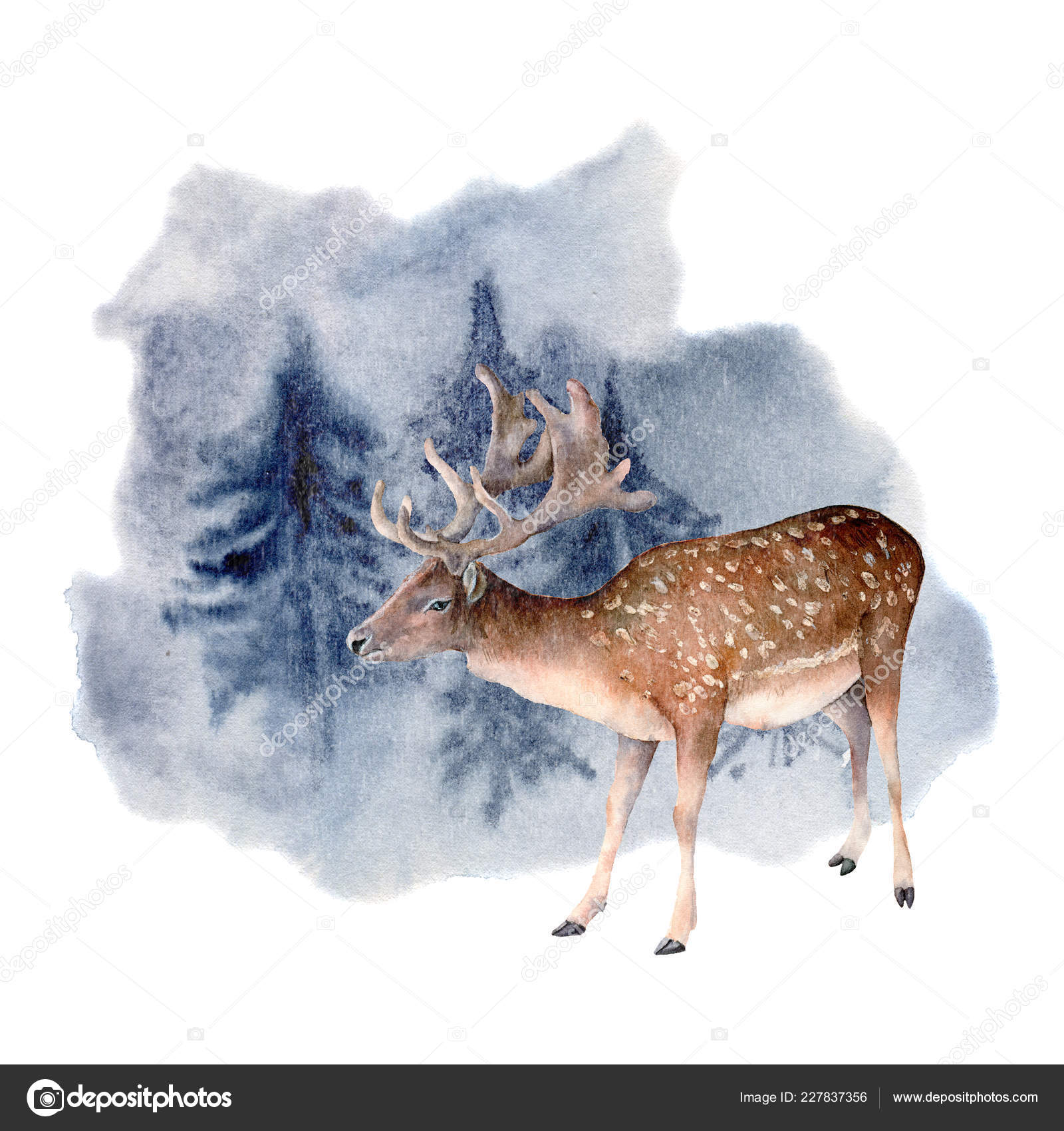 Watercolor Deer In Winter Forest. Hand Painted Animal Illustration With Fallow Deer And Pine Trees Isolated On White Background. Holiday Clip Art For Design, Print. Christmas Card. Stock Photo By ©Derbisheva 227837356