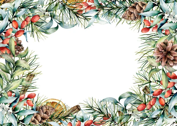 Akwarela Boże Narodzenie karta kwiatowy z przyprawami. Ręcznie malowane jodły z szyszek, liście eukaliptusa i oddział, jagody, plasterek pomarańczy, na białym tle. Ilustracja do projektowania — Zdjęcie stockowe