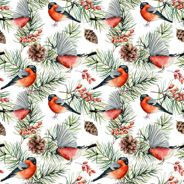 Akvarell téli minta bullfinches. Kézzel festett madarak, a fenyő ágak és kúpok, bogyók, elszigetelt fehér background. Holiday természet szemléltetése design, anyag, nyomtatása. — Stock Fotó