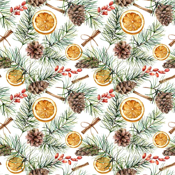 Aquarel winter patroon met pine branch kegels. Hand geschilderd fir tak oranje segment, Berberisfamilie, kaneel geïsoleerd op een witte achtergrond. Vakantie illustratie voor ontwerp, afdrukken, stof. — Stockfoto