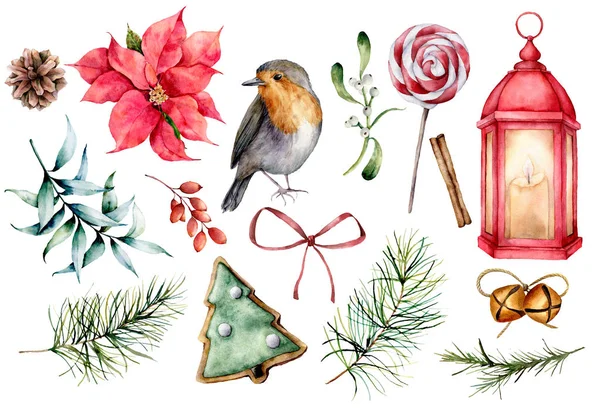 Akvarell med julen symboler. Handmålade vinter växter, domherre fågel, inredning isolerad på vit bakgrund. Holiday blommig och objekt illustration för design, print, bakgrund — Stockfoto