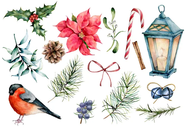 수채화 크리스마스 기호 설정합니다. 손으로 그린 겨울 식물, 멋쟁이 새의 일종 새, 장식 흰색 배경에 고립. 휴일 꽃 및 디자인, 인쇄, 배경 개체 그림 — 스톡 사진