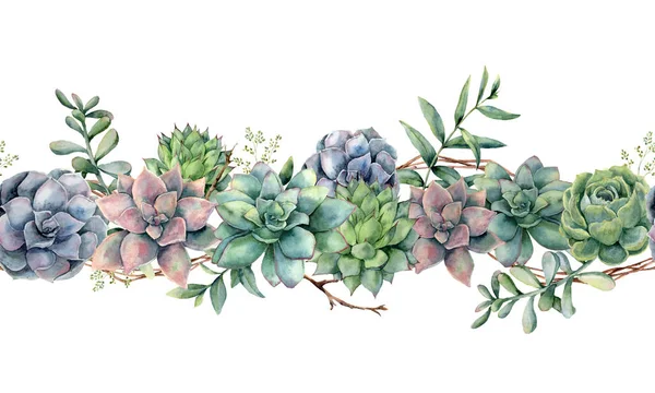 Akvarell zökkenőmentes csokor pozsgás növények, fa ága és eukaliptusz. Kézzel festett, kaktuszok, eukaliptusz levelek és ágak, elszigetelt fehér background. Botanikai illusztráció tervezése, nyomtatása. — Stock Fotó
