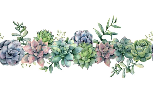Akvarell succulents zökkenőmentes csokor. Kézzel festett zöld, lila, rózsaszín kaktuszok, eukaliptusz levelek és ágak, elszigetelt fehér background. Botanikai illusztráció tervezése, nyomtatása. Zöld növények — Stock Fotó