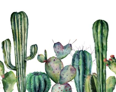 Suluboya kaktüs desen. Elle çizilmiş beyaz arka plan üzerinde izole çöl bitkileri ile sorunsuz süsleme. Çiçekli kaktüs kart tasarımı, baskı için. Botanik doğa illüstrasyon