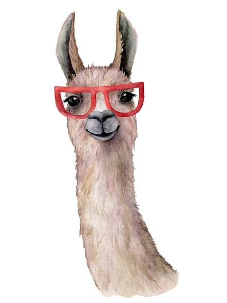 Akvarelu karta s Lama a sluneční brýle. Ručně malované krásné ilustrace zvířat a sluneční brýle izolovaných na bílém pozadí. Pro návrh, tisk, tkaniny nebo pozadí. — Stock fotografie