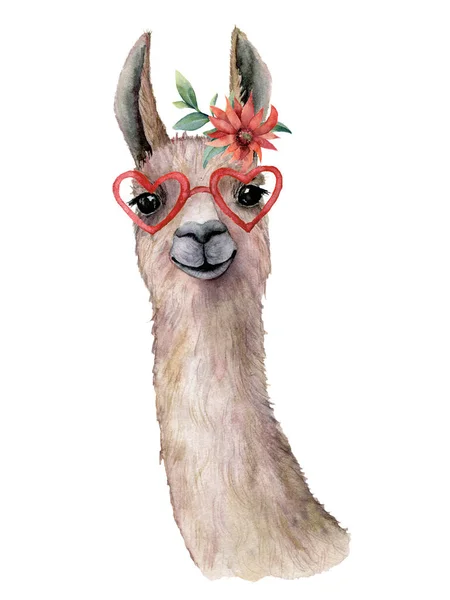 Watercolor card with llama, flower and sunglasses. Hand painted beautiful illustration with animal, red flower and sunglasses isolated on white background. For design, print, fabric or background. Stock Image