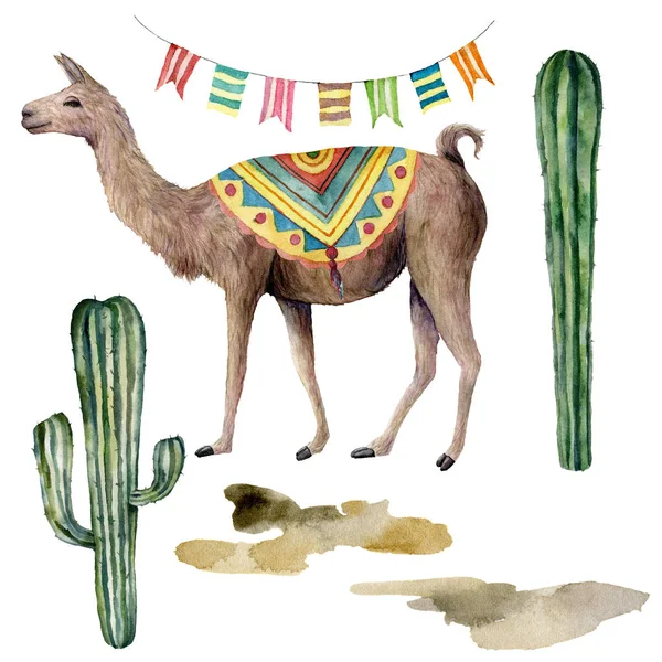 Carte aquarelle avec lama, guirlande et cactus. Belle illustration peinte à la main avec animal, floral et guirlande sur fond blanc. Pour la conception, l'impression, le tissu ou le fond . — Photo
