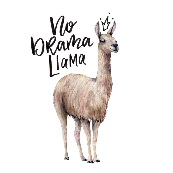 Aquarelle Pas de carte de lama dramatique avec lama. Belle illustration peinte à la main avec un animal souriant et lettrage isolé sur fond blanc. Pour la conception, l'impression, le tissu ou le fond . — Photo