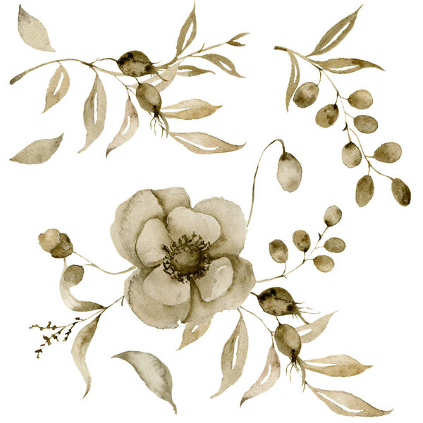 Watercolor sepia anemone set for bouquet. Hand painted flowers and berries with eucalyptus leaves and branch isolated on white background for design, print or fabric.