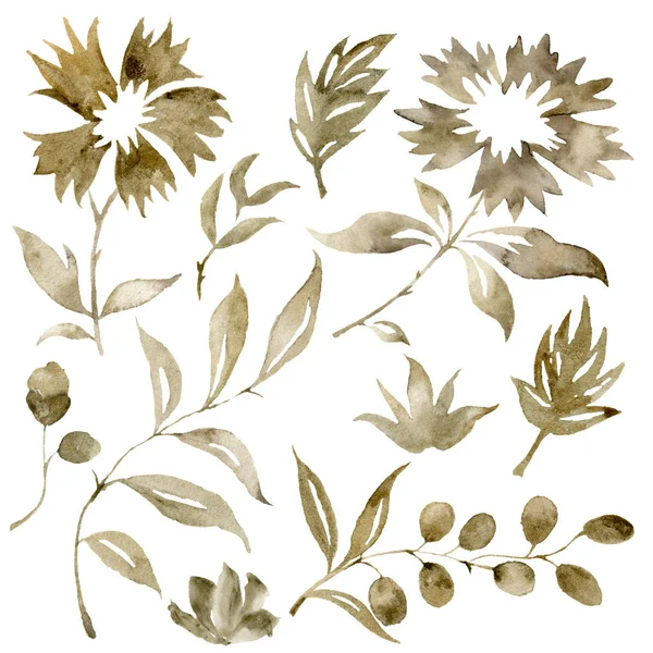 Akvarell szépia virágok csokor készlet. Kézzel festett virágok és bogyók ág elszigetelt fehér background, nyomtatási vagy szövet és eukaliptusz levelek. — Stock Fotó