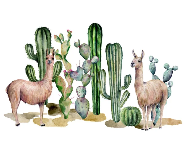 Carte aquarelle avec lama et cactus. Peint à la main belle illustration avec des animaux et floral sur fond blanc. Pour la conception, l'impression, le tissu ou le fond . — Photo