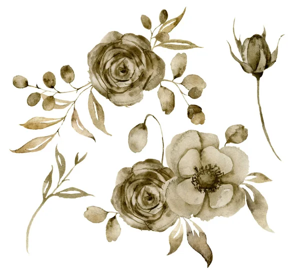 Aquarel sepia rose en anemone boeket instellen. Handgeschilderde bloemen en bessen met eucalyptus bladeren en tak geïsoleerd op een witte achtergrond voor ontwerp, afdrukken of stof. — Stockfoto