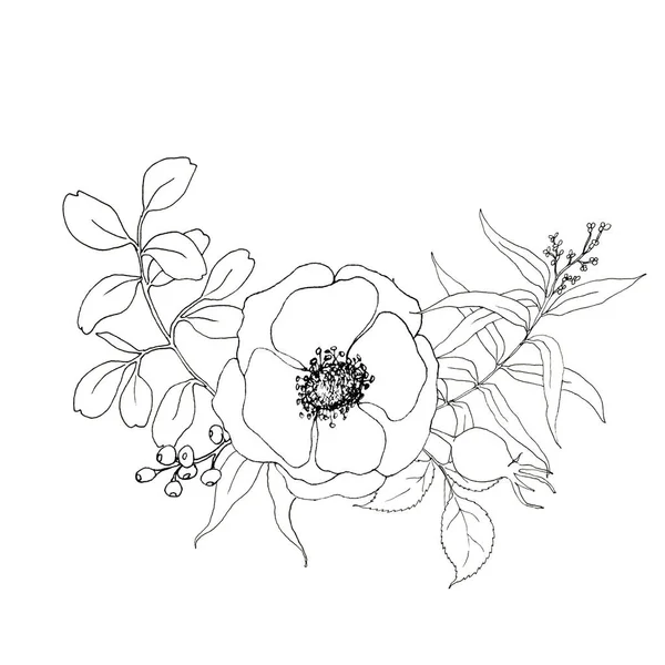 Sketch anemone and greenery bouquet. Hand painted flowers and berries with eucalyptus leaves and branch isolated on white background for design, print or fabric. — Stock Photo, Image