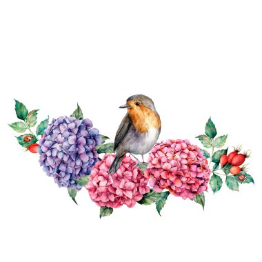 Robin ve çiçekler suluboya kompozisyonu. El tasarım, yazdırma için beyaz arka plan üzerinde izole okaliptüs yaprakları ile ortanca ve köpek gül buket boyalı.