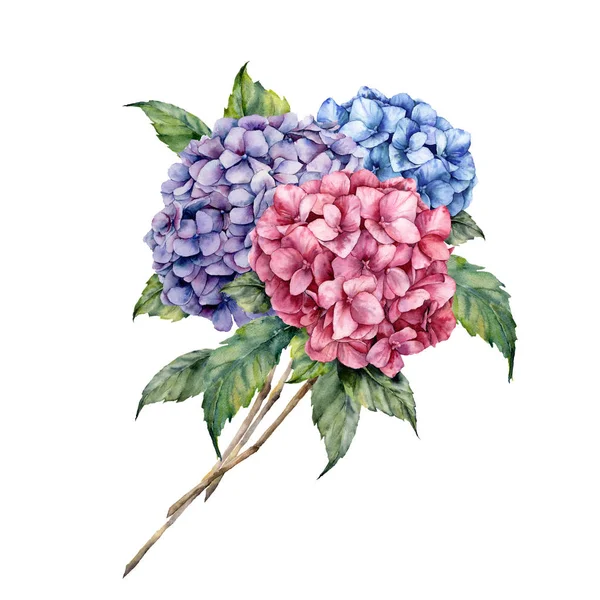 Watercolor hydrangea bouquet. Hand painted pink and violet flowers with leaves isolated on white background for design, print. — Stock Photo, Image