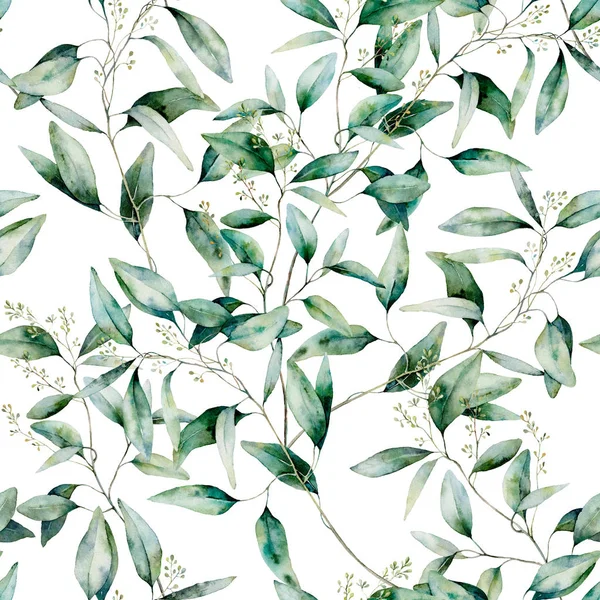 Patrón sin costura de eucalipto sin semillas de acuarela. Rama de eucalipto pintada a mano y hojas aisladas sobre fondo blanco. Ilustración floral para diseño, impresión, tela o fondo . — Foto de Stock