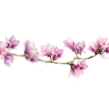 Suluboya Manolya ve yaprakları sorunsuz sınır. Çiçek el boyalı ve beyaz arka plan üzerinde izole dalı yeşil yaprakları. Çiçek gösterim amacıyla tasarım, baskı, kumaş veya arka plan.