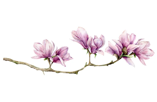 Aquarell Magnolie horizontale Karte. handbemalte Blumen auf Zweigen isoliert auf weißem Hintergrund. Florale elegante Illustration für Design, Druck. — Stockfoto