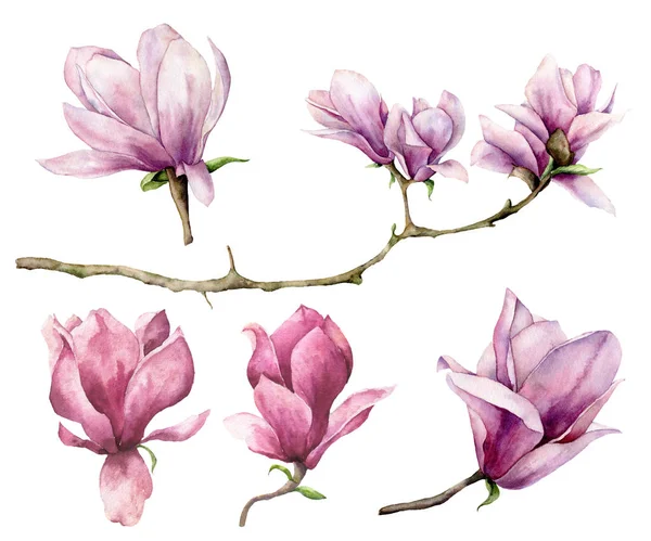 Aquarell Magnolie und Astsatz. handbemalte Blumen isoliert auf weißem Hintergrund. Florale elegante Illustration für Design, Druck. — Stockfoto