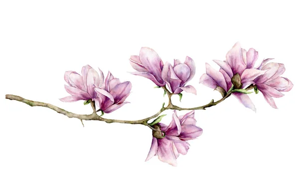 Magnolia acquerello e foglie scheda orizzontale. Fiori dipinti a mano e foglie verdi su ramo isolato su sfondo bianco. Illustrazione floreale elegante per design, stampa . — Foto Stock