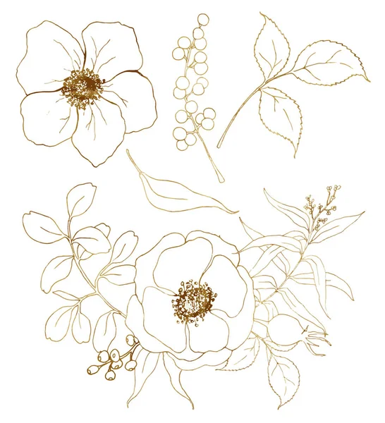 Vektor goldene Skizze Anemonenstrauß Set. handbemalte Blumen, Eukalyptusblätter, Beeren und Zweige isoliert auf weißem Hintergrund für Design, Druck oder Stoff. — Stockvektor