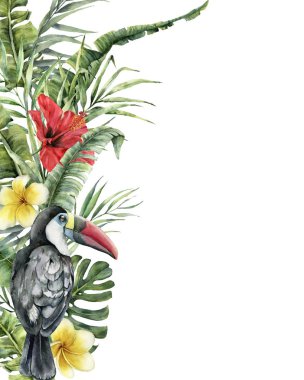 Suluboya tropik çiçekler ve toucan kartı. El boyalı kuş, ebegümeci ve beyaz arka plan üzerinde izole plumeria. Doğa botanik gösterim amacıyla tasarım, yazdırma. Gerçekçi hassas bitki.