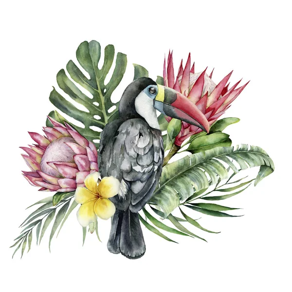 水彩热带土花和花束。手绘的鸟, 蛋白质和在白色背景查出的羽毛。自然植物学插图的设计, 印刷。逼真的精致植物. — 图库照片