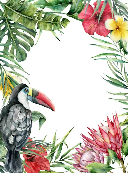 水彩热带土嘴和花卡。手绘的鸟, 蛋白质, 芙蓉和羽毛查出在白色背景。自然植物学插图的设计, 印刷。逼真的精致植物. — 图库照片