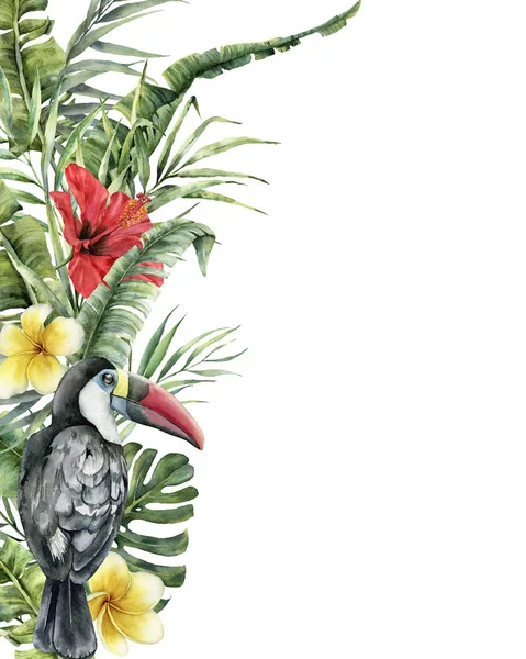 水彩热带花卉和图坎卡。手绘的鸟, 芙蓉和羽毛查出在白色背景。自然植物学插图的设计, 印刷。逼真的精致植物. — 图库照片