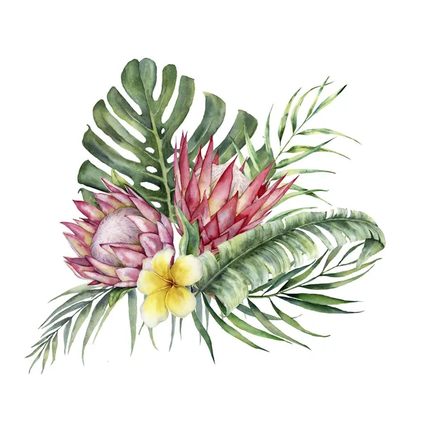 Acuarela de protea y plumeria bouquet. Flores tropicales pintadas a mano y hojas aisladas sobre fondo blanco. Naturaleza ilustración botánica para el diseño, impresión. Planta delicada realista . —  Fotos de Stock